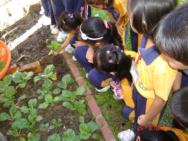 DSC07715.JPG